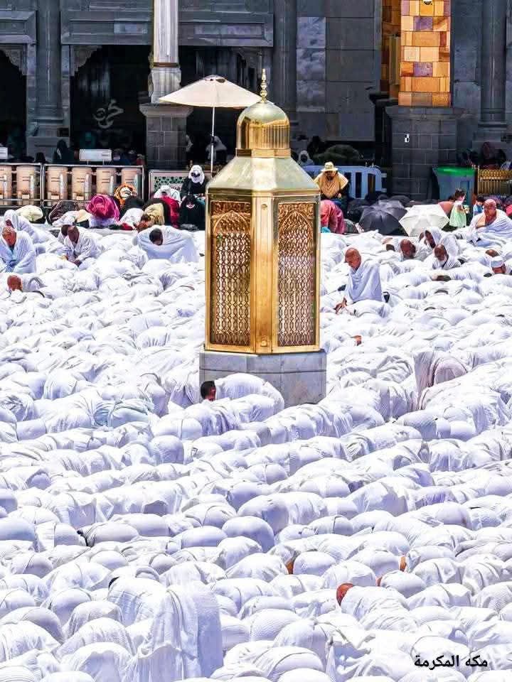 islamicfreedom's tweet image. Your soul will find it’s way back home. Just believe, pray and ask Allah for forgiveness.