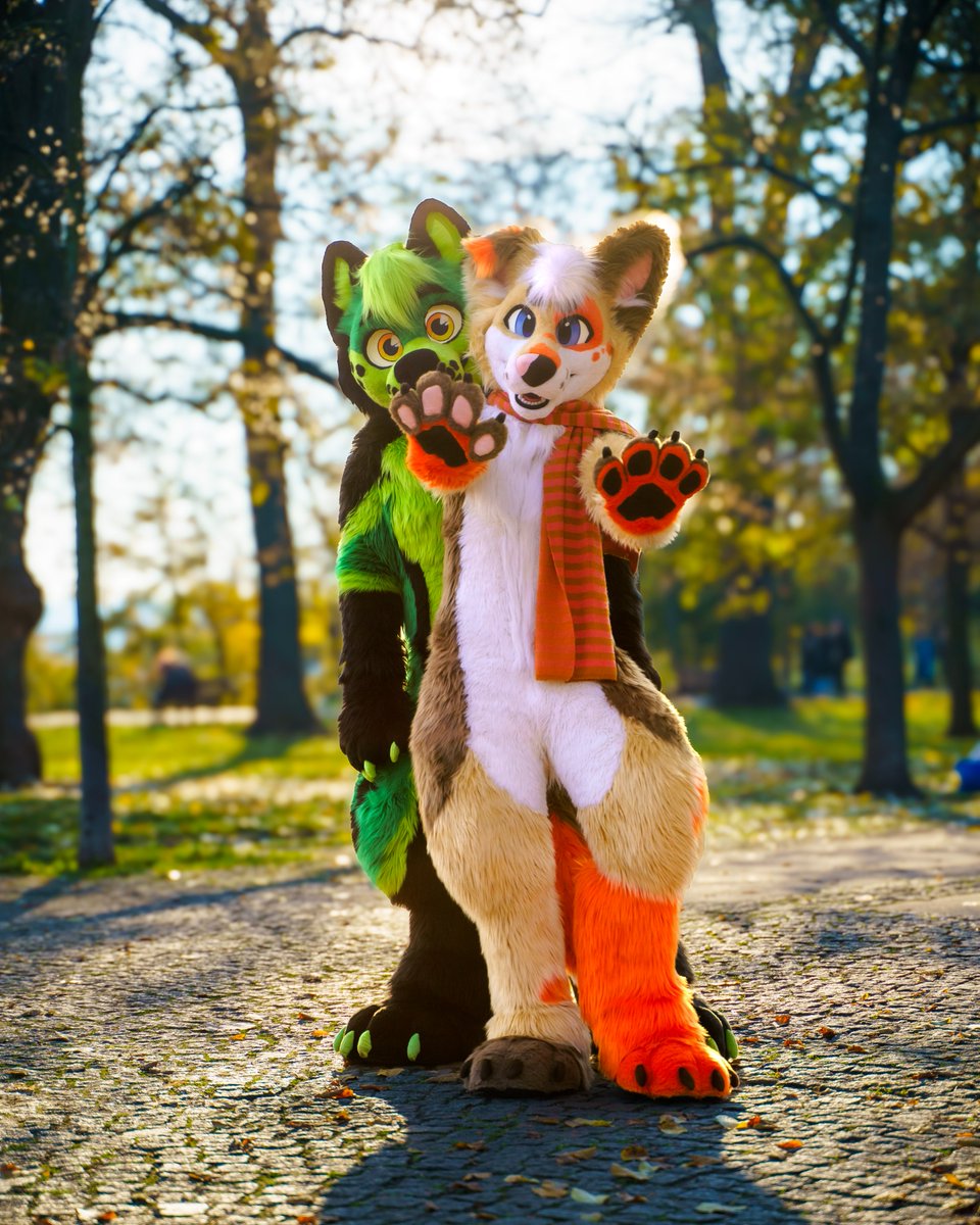 Baddy 🐾 tweet media