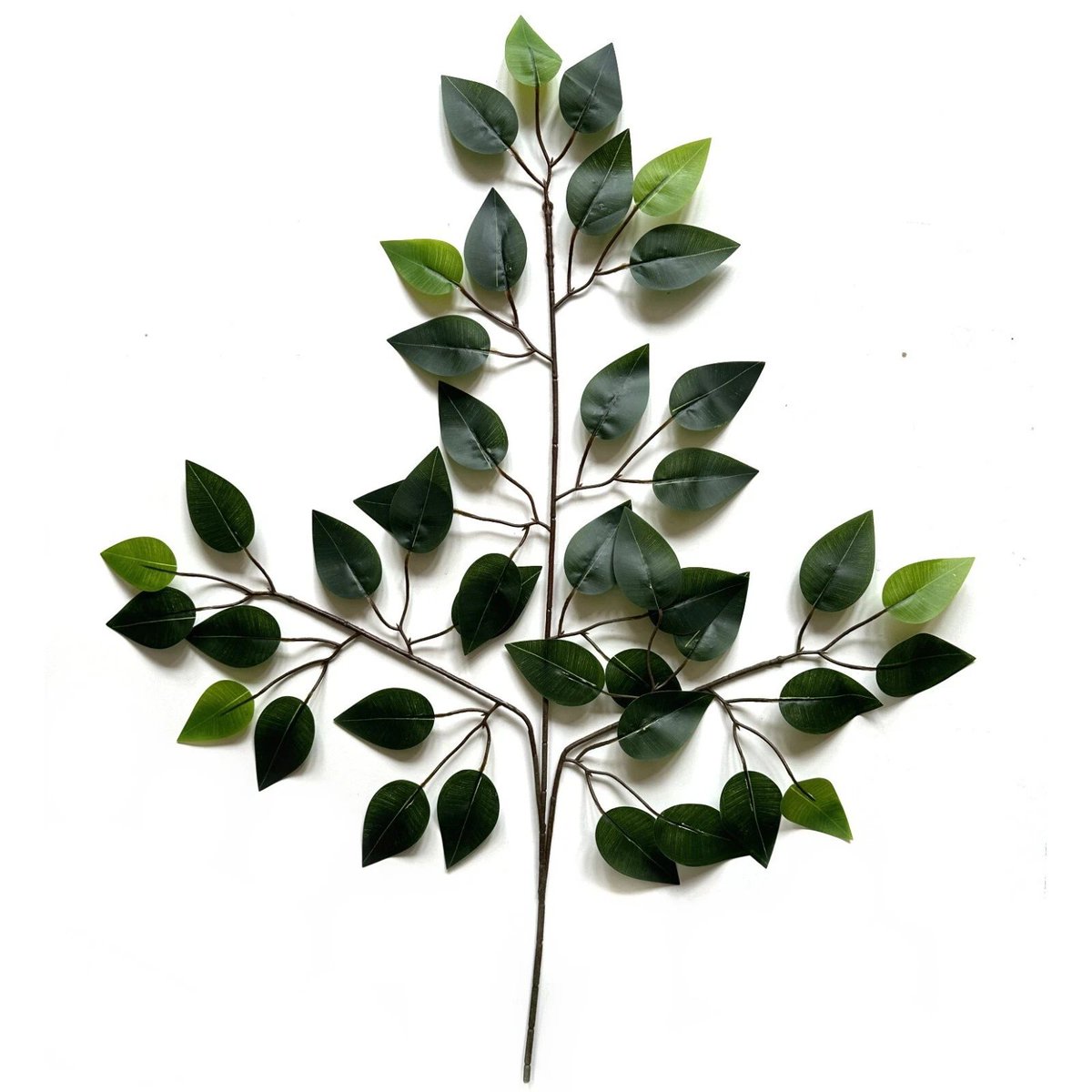 ArtificialDevon's tweet image. Check out Artificial Ficus Leaf Tree Spray Branch 60cm Decorative Faux Foliage ebay.us/m/s3SPeZ #artificialflowers #fauxflowers #homedecor #shopdecor #hoteldecor #cafedecor #flowers #theatreprops #movieprops #scenery #christmas #christmas2025