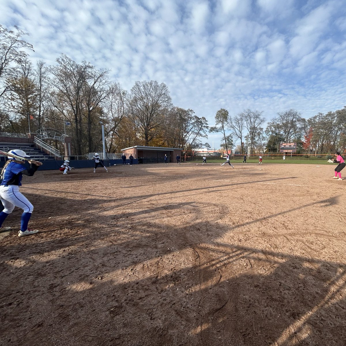 Hope Softball tweet media