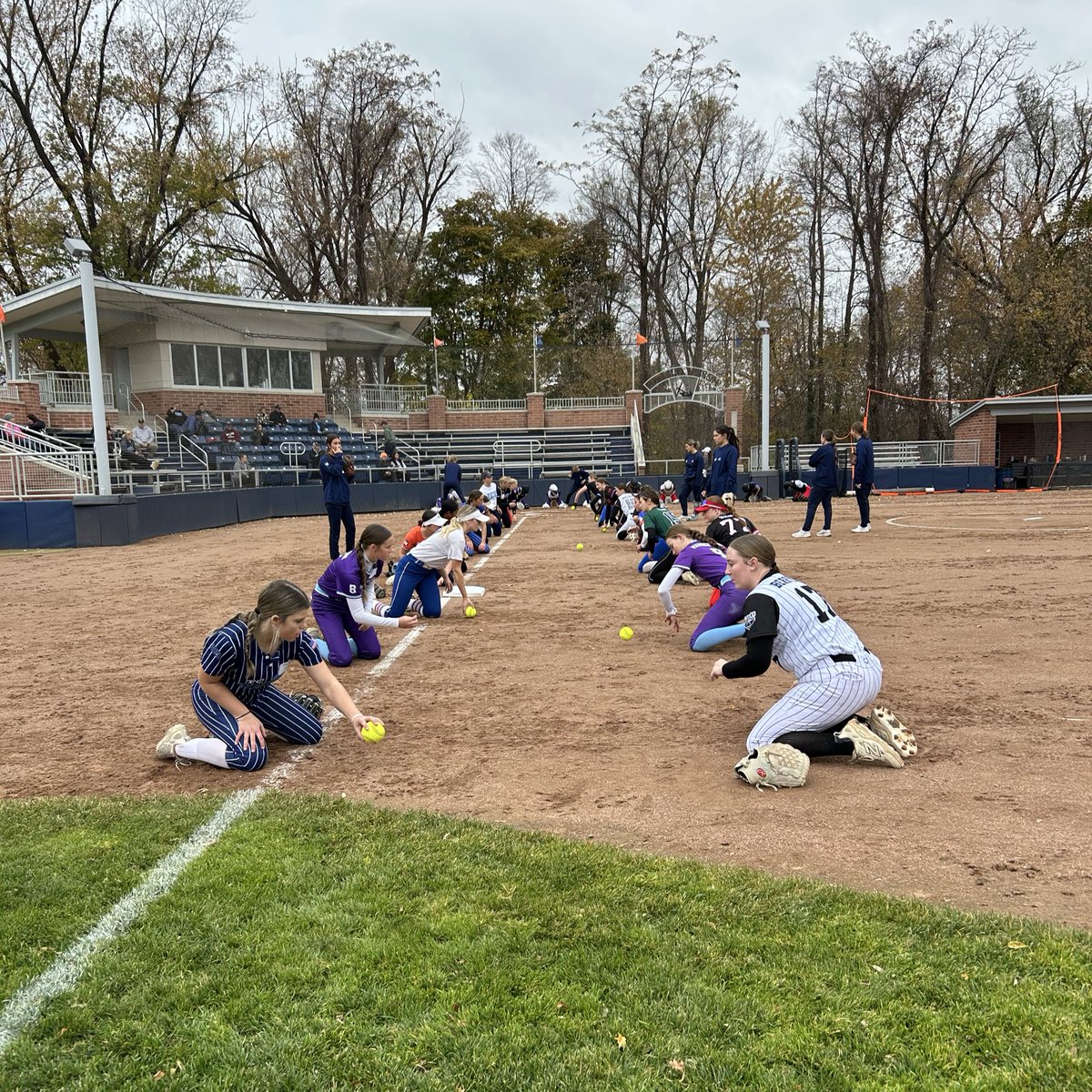 Hope Softball tweet media