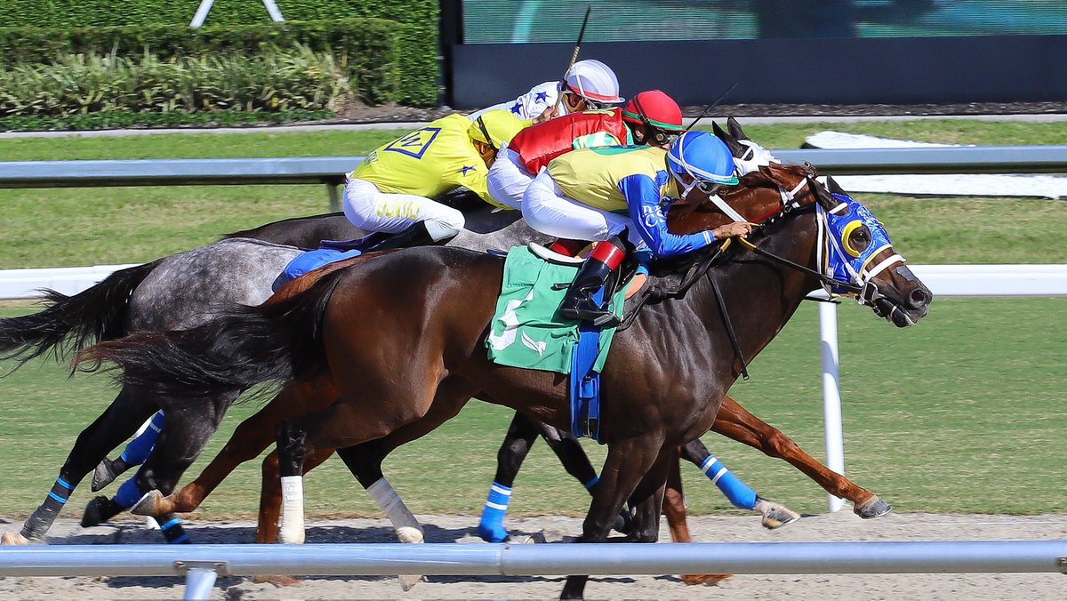 Lookin for Roses surges late to deliver in race 4, <a href="/zayas_edgardo/">Edgardo Zayas</a> at the reins for trainer <a href="/SaffieJosephJr/">Saffie Joseph Jr.</a>. #GulfstreamPark #SunshineMeet