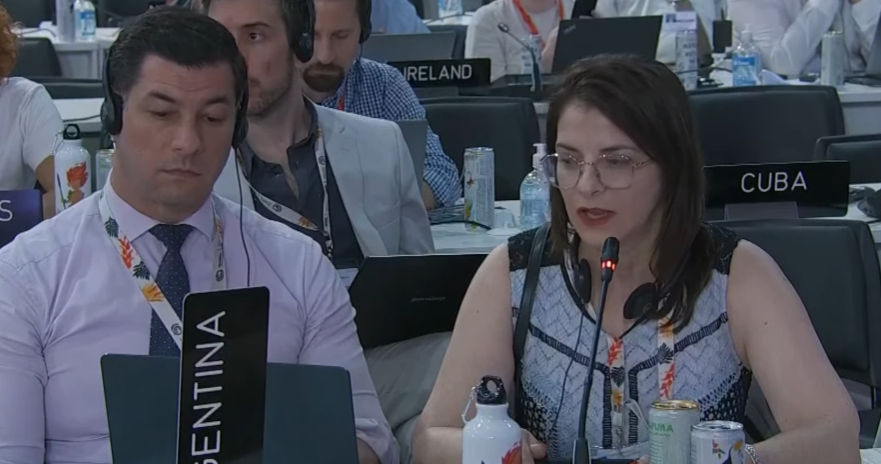 Para sorpresa de absolutamente nadie, Argentina hace lo mismo sobre género en la #COP30.