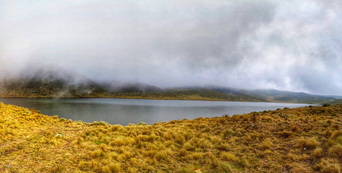 Melavin's tweet image. 📷