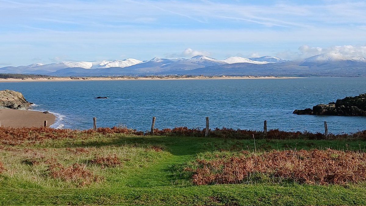 Steve Chilton tweet media