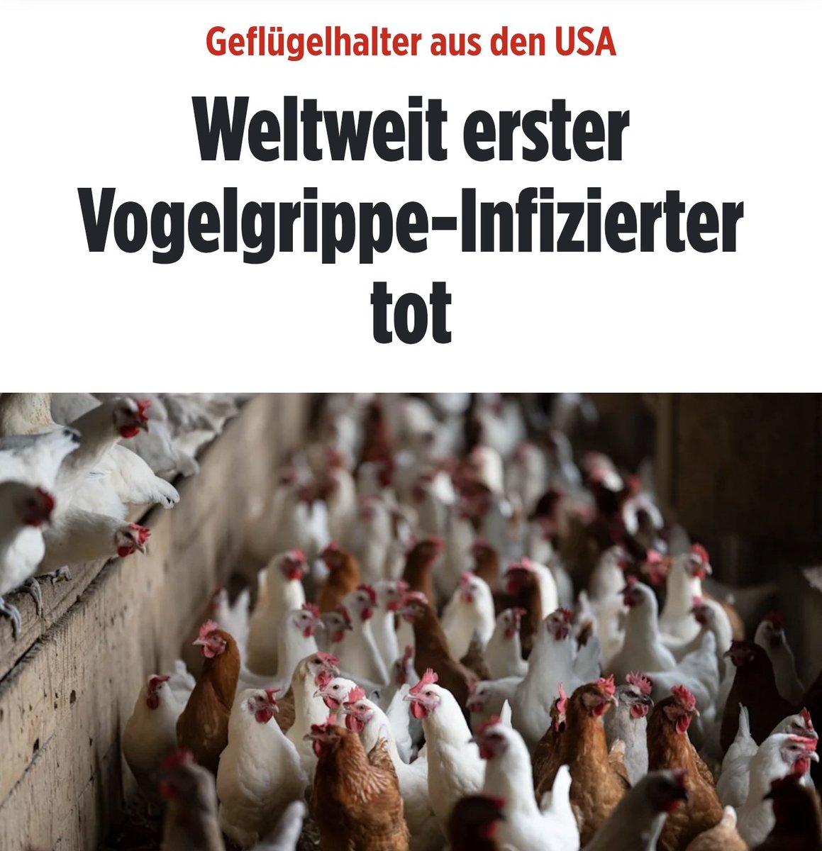 LilitThyra's tweet image. USA:
Der weltweit erstmals nachweislich mit dem Vogelgrippevirus H5N5 infizierte Mensch ist gestorben.

Alles was ich dazu sagen könnte wird als Verschwörungstheorie abgetan...

bild.de/leben-wissen/m…