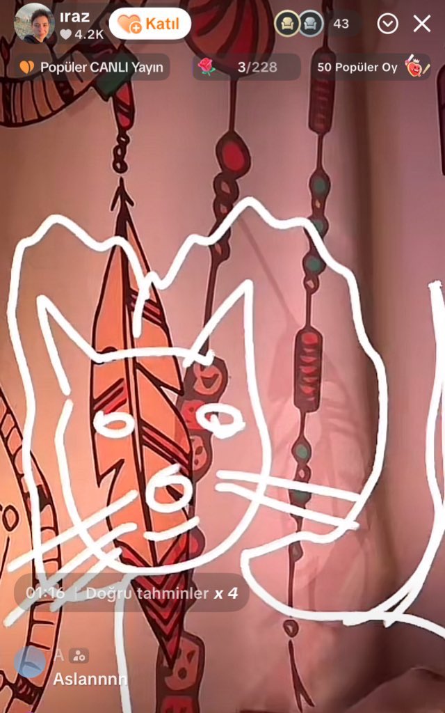 Bir Türkoloji hastasının çizmiş olduğu aslan resmi