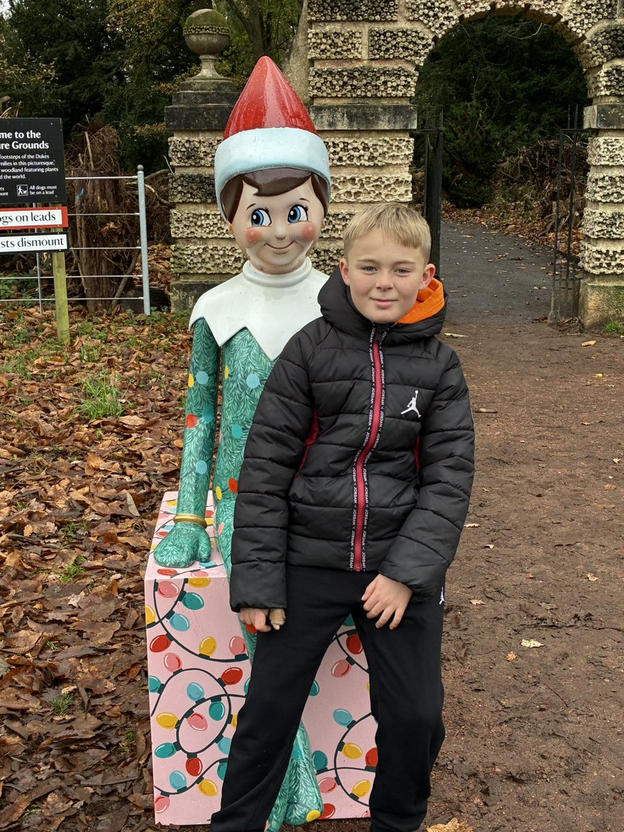 kezpickle's tweet photo. And a little bit of elf on the shelf searching 

Olly was more excited than me …. Honest 😂😂 https://t.co/2iPULVGPo0