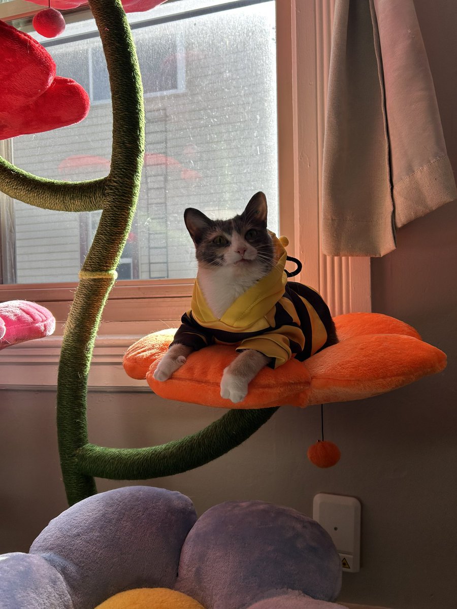 oreoeocat's tweet image. Monk-bee