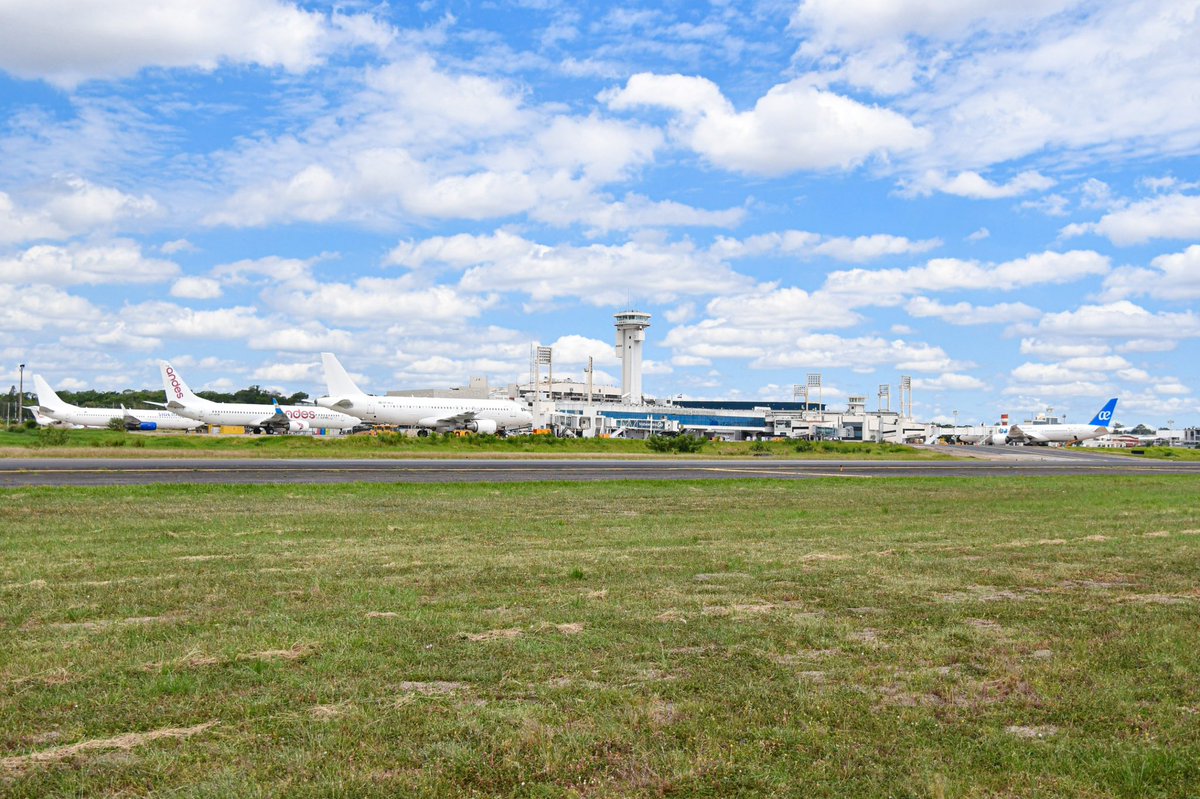 dinacpy's tweet image. La fiebre del fútbol se vive desde el cielo ✈️🔥

Cada vuelo que llega trae la pasión de miles de hinchas listos para la gran final ⚽🙌

@Sudamericana 
@CONMEBOL 
#copasudamericana #dinacpy #lagranconquista
