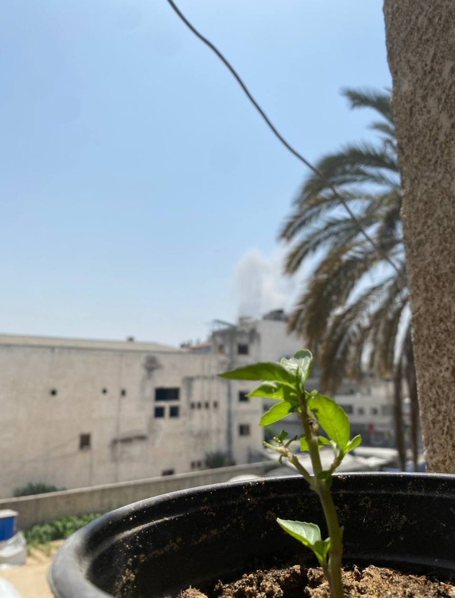 Shadi was so full of life &amp; hope. His smile shone bright, through all the hardships he endured. In the end, it was all too much 💔 If he didn't give up despite everything, how can we? Let's keep fighting, for those he loved!
‼️Only 10 $ in the last 5 days: tinyurl.com/ShadiEd