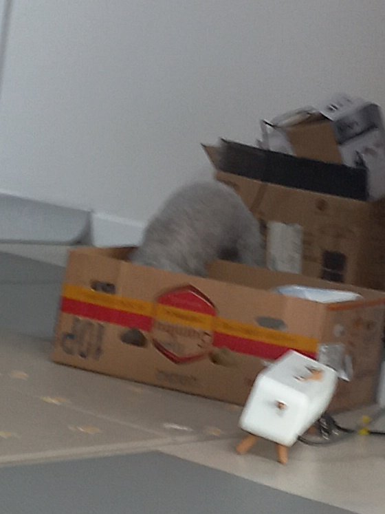 q_o_o_p_x's tweet image. 