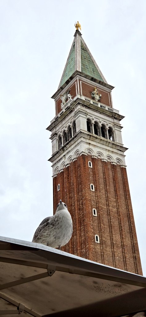 ailgamar tweet media