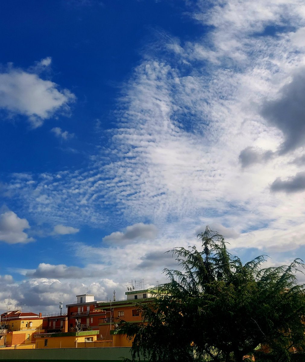 Maria Lea tweet media