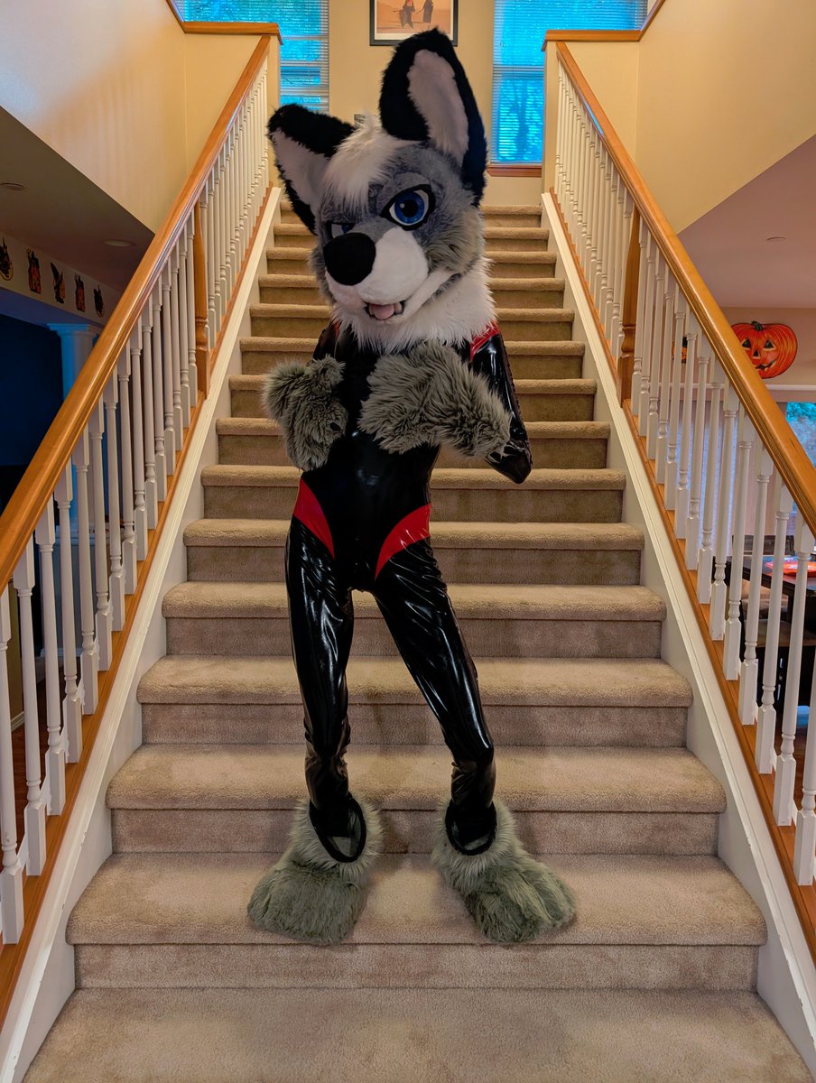 Silver Sentinel tweet media