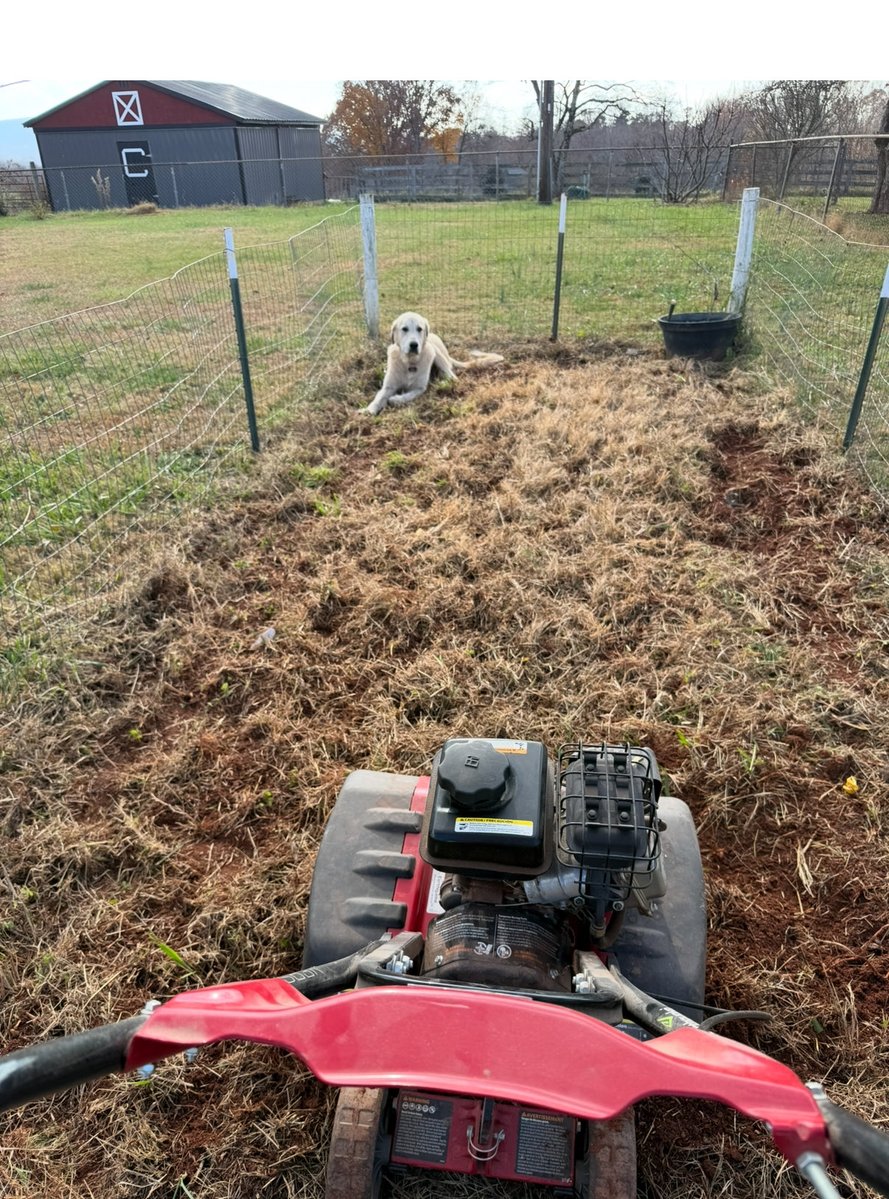 Max is supervising fall tilling.