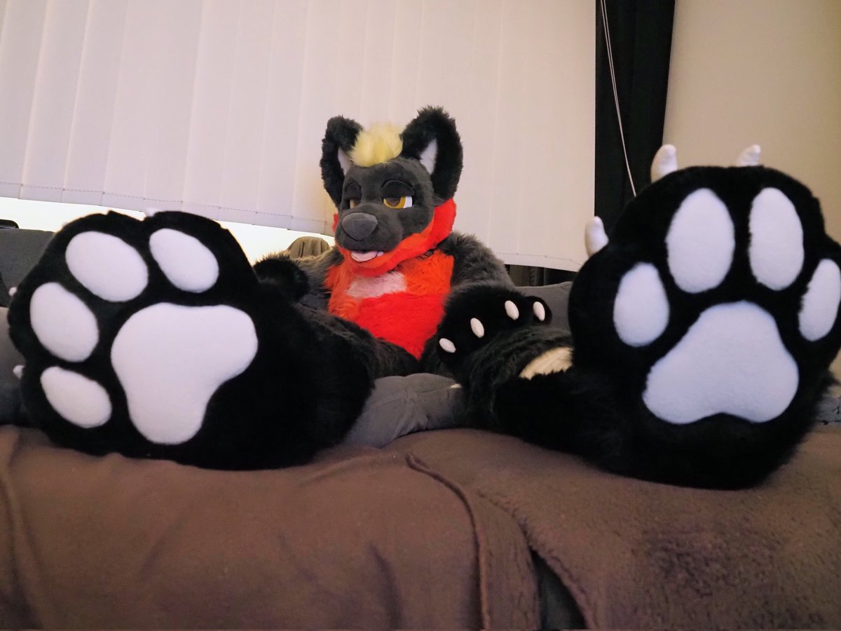 Relaxing on the couch. 🐾 

📸 <a href="/Itai_dog/">Itai_dog</a> 
🧵 <a href="/VarrosCreations/">Varro's Creations</a>