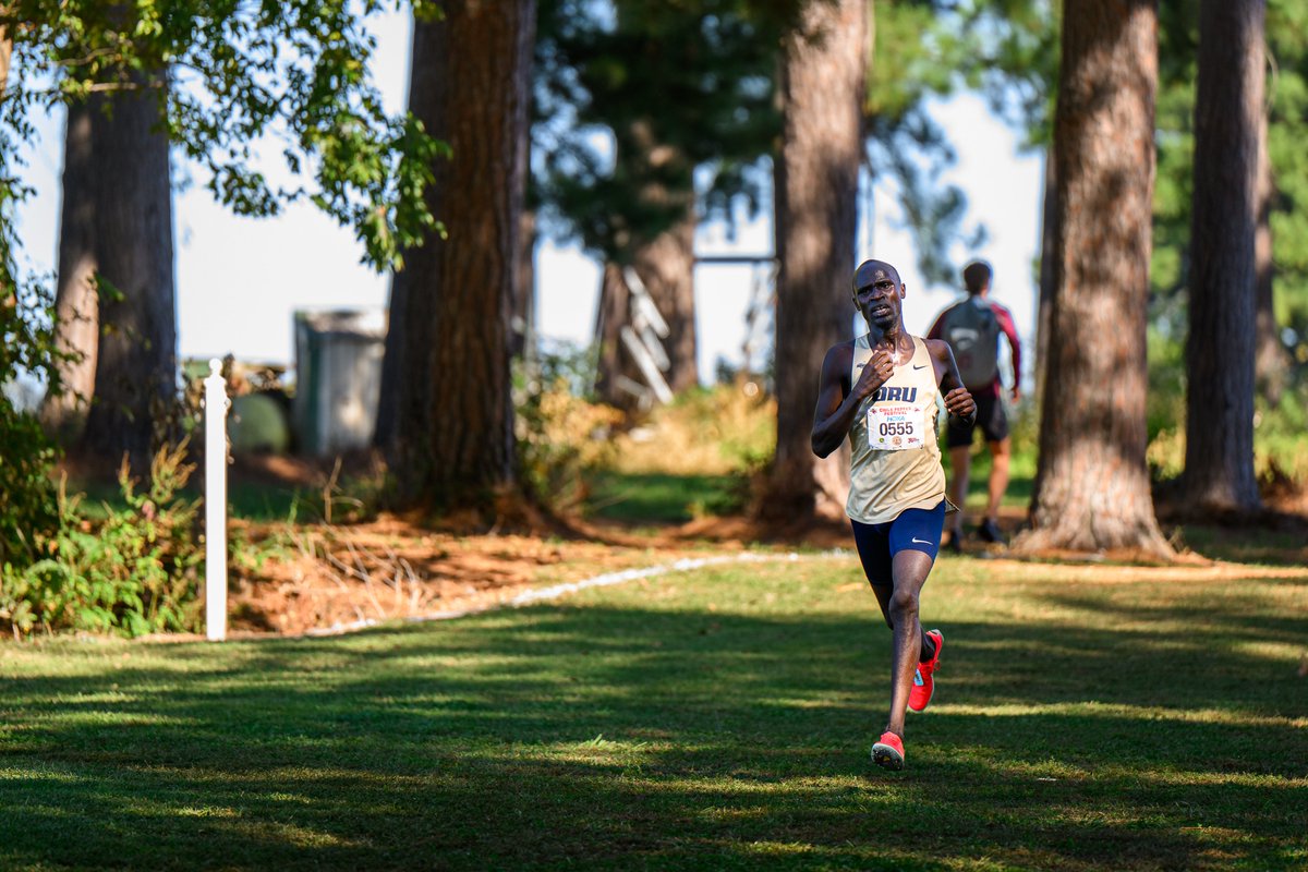 ORUXC's tweet image. The 2025 season concludes with Abraham Chelangam's performance at the NCAA Nationals on Saturday morning

STORY: tinyurl.com/6urzd36n

#ORUXC | #GoldenStandard