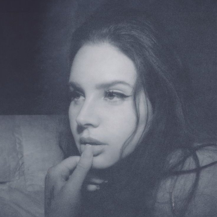 Lana Del Rey • Spotify Daily tweet media