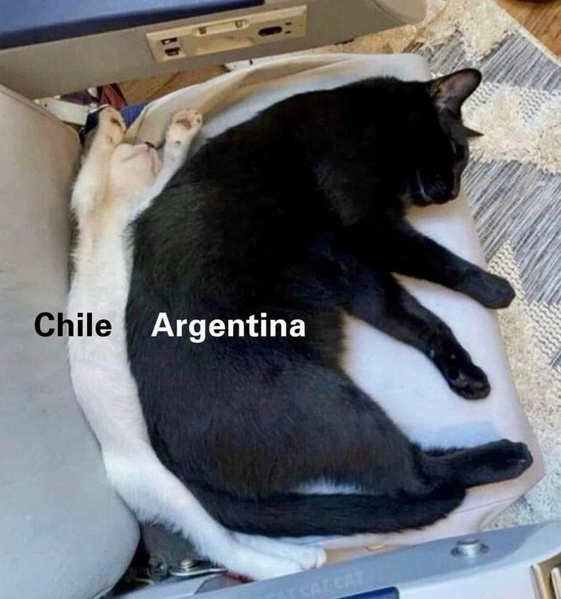 Respectful Memes (@respectfulmemes) on Twitter photo 