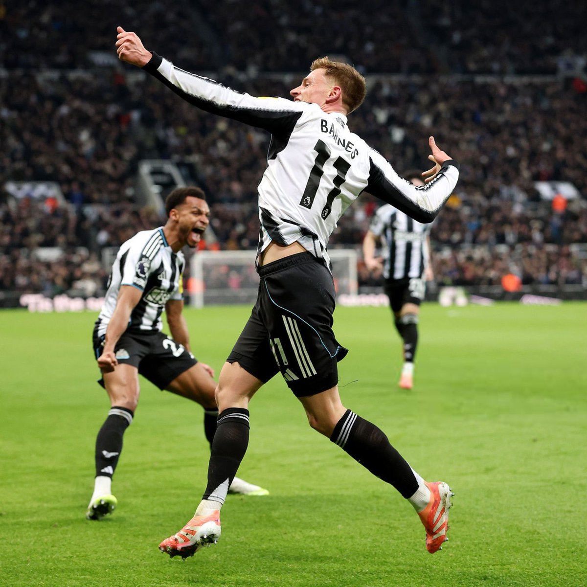 NUFC_SA's tweet photo. هاواي ذا لادز ⚫️⚪️ https://t.co/mMX8aBlqeN