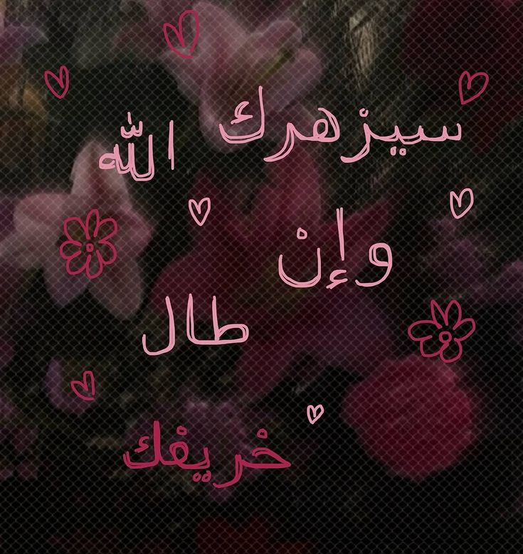 عبارات عظيمة (@great_phr) on Twitter photo 