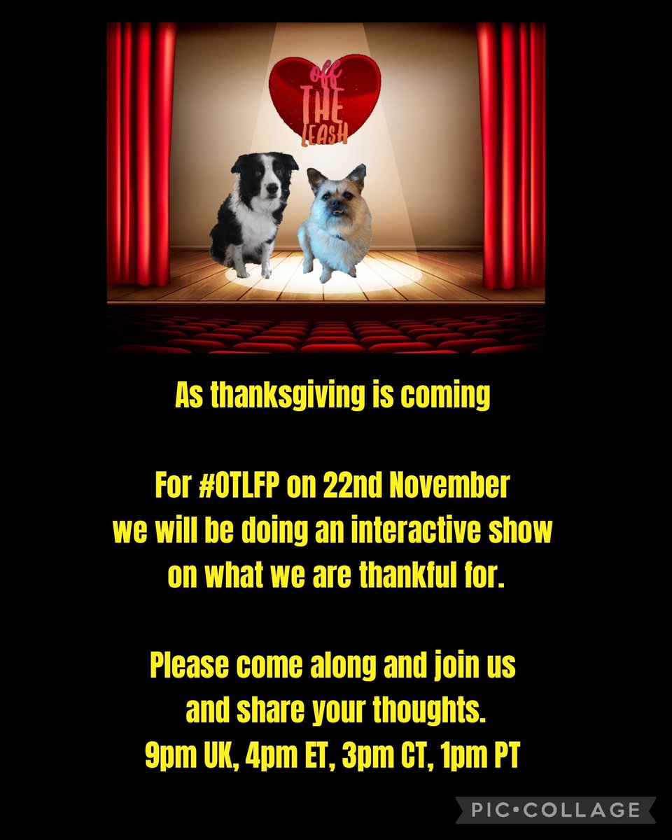 OffTheLeashFP's tweet image. 📌 #OTLFP starts in one hour! We are a Twitter chat about #pets, by pets! Today is an interactive show to talk about the things you are thankful for!

Hosts: @Pixie_Tooth &amp;amp; @MillieOTLFP

Starts 4pm ET, 3pm CT, 2pm MT, 1pm PT, 9pm UK

All are welcome. Just search &amp;amp; follow #OTLFP!