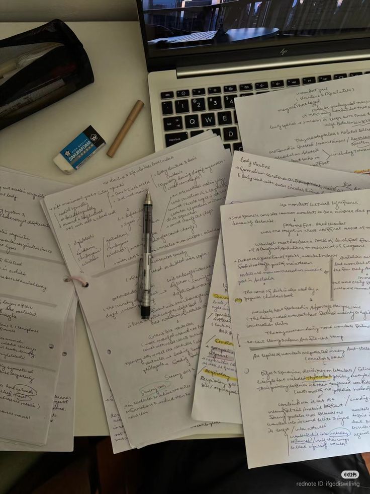 !!★ – 𝐅ilhe dos 𝐅rambo(𝐄sa) tweet media