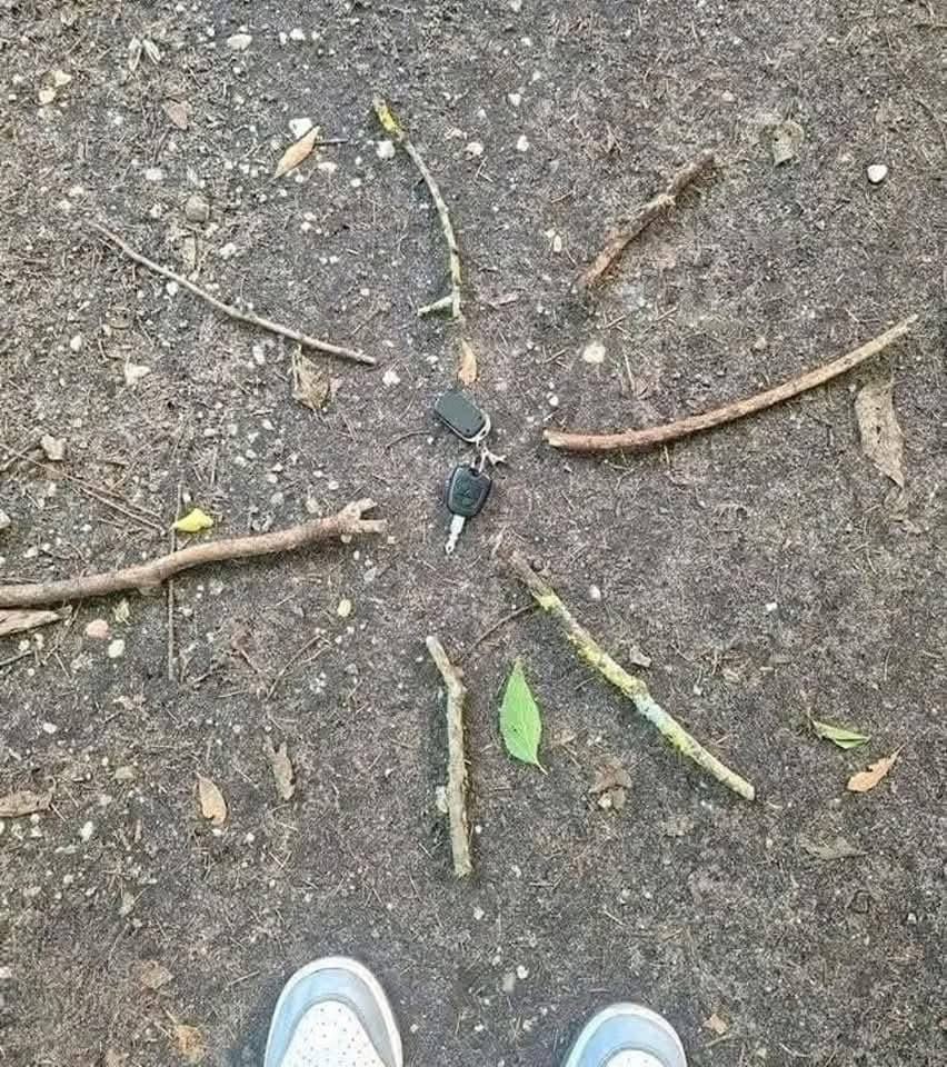 MrPitbull07's tweet photo. “Today I lost my car keys while running deep in the forest.
At the end of my run—breathless and filled with anxiety—I retraced my steps, bracing for the worst...

But then, among the trees, I found something unexpected:
a small circle made of branches, like a handmade compass.
And in the center, perfectly placed, were my keys.

Someone—a kind stranger—had found them.
And left that simple, clever, beautiful sign.
A silent gesture, yet full of humanity.

In a world that moves fast and often forgets to care for others,
a gesture like that speaks louder than a thousand words.

To whoever you are: thank you.
Today, you were my little miracle in the forest.”

Credit: Vicky Smith