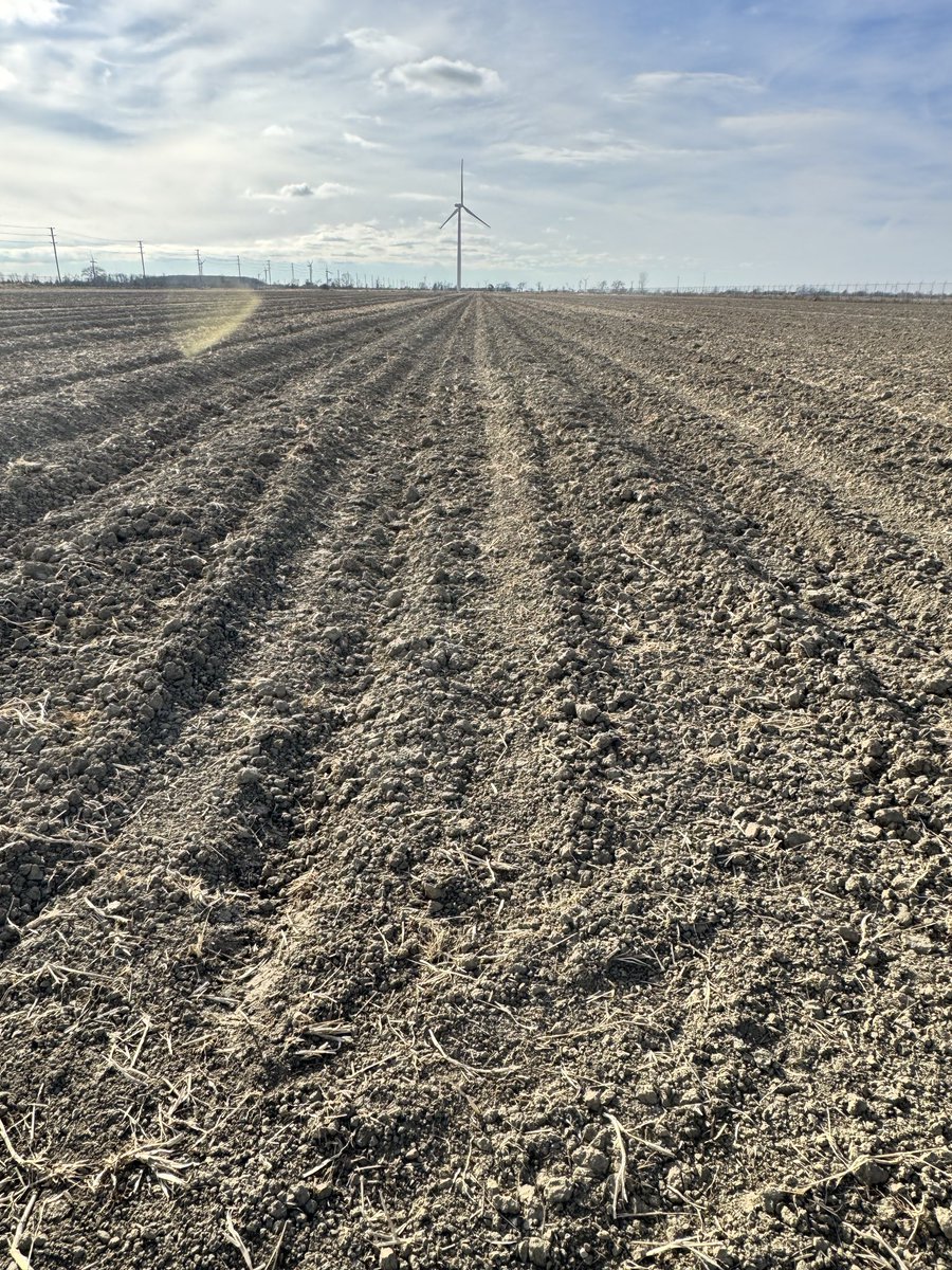 7 Farms Down Inc. tweet media