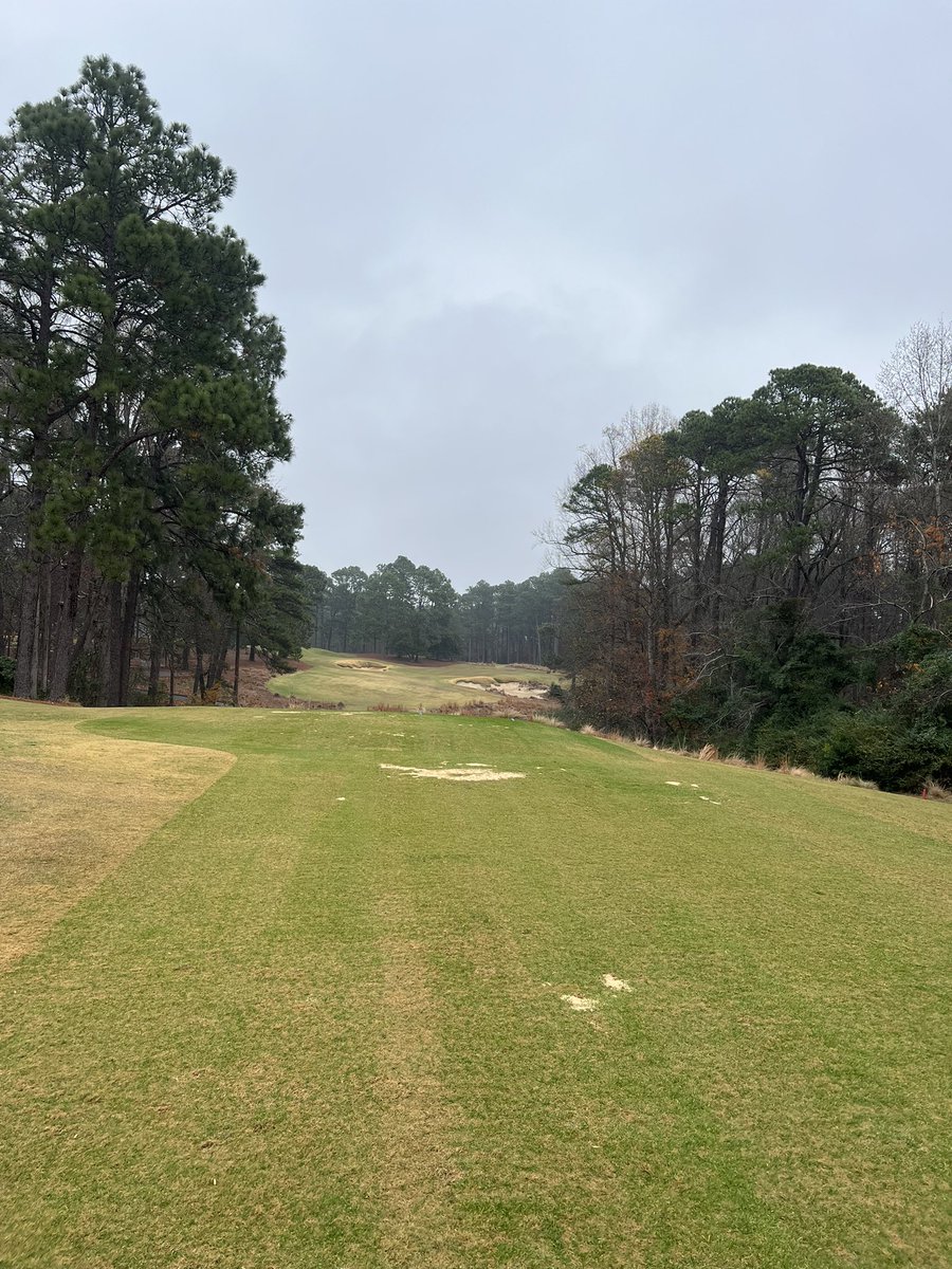 Beautiful stroll around Pine Needles yesterday morning!