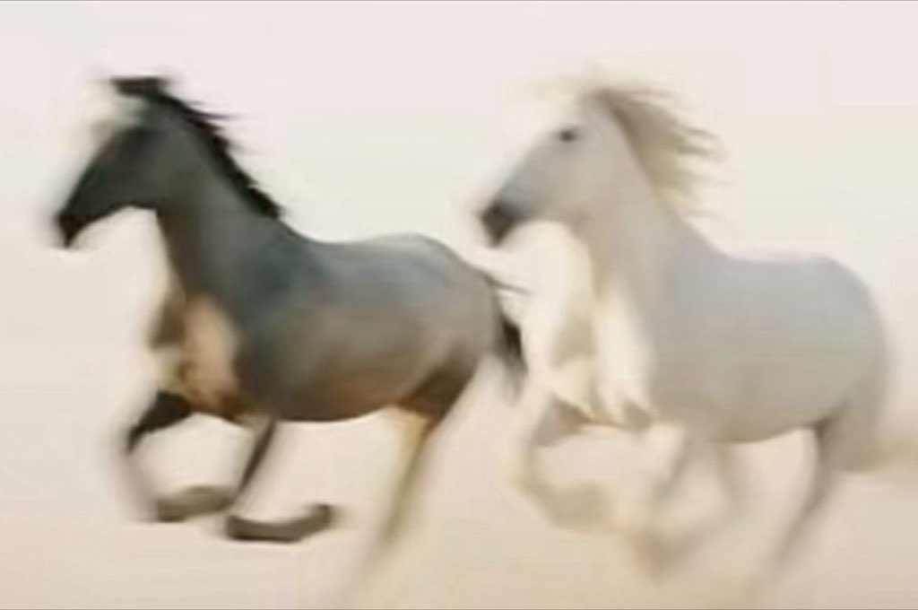 aguavivagu4's tweet image. vc paga um mico morre de vergonha mas daí lembra que é humana ufaaa