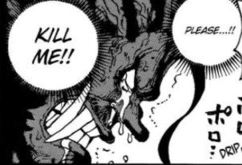 pathetic sad Zed fan tweet media