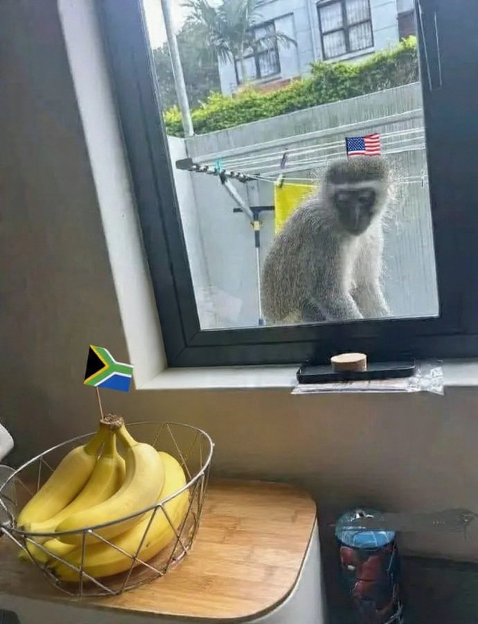 Suresevprojecs's tweet image. Situation today 
#G20SouthAfrica #Declaration