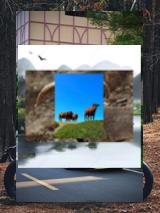 Люблю дни когда можно заниматься вязанием спицами в свободное время, готовлю свитер для тё тёти на зиму.🌉💽Typhoon new roof vents with wind-proof designs 💨, no rain entry 🏠🌬️