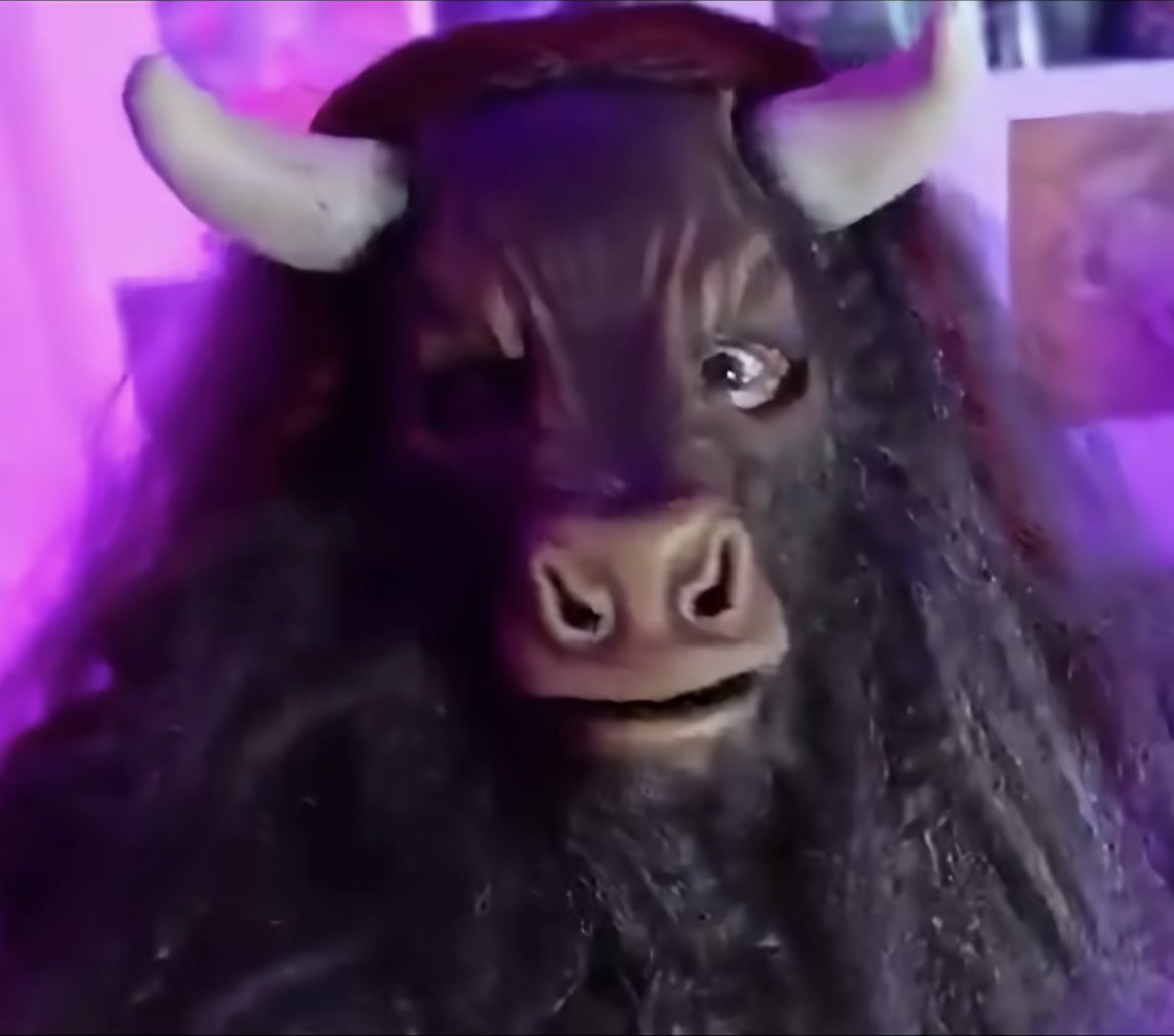 VGY|Byakuya/Tim🐥 tweet media