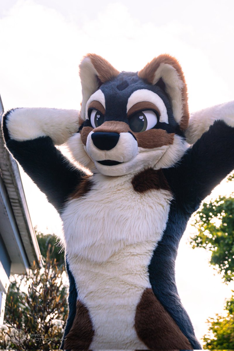 kittlums tweet media