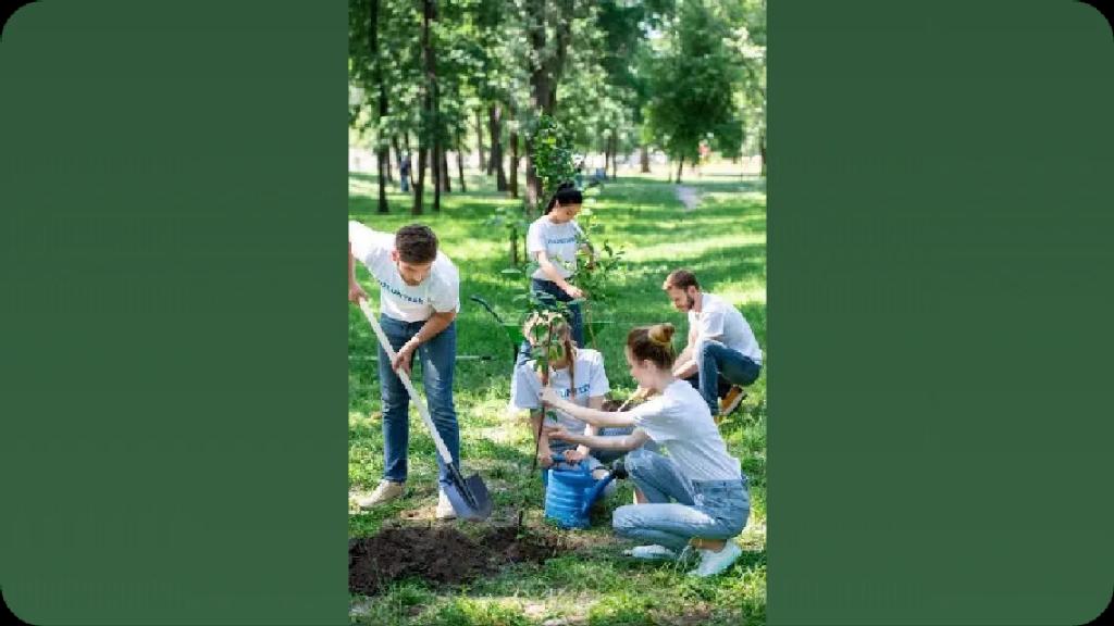 Elcat5's tweet image. This image says it all 🌿
It starts with you. Make a difference.

View the post 👉 app.ecox.network/community/post…
Earn GREEN on ECOX Network while you act:
app.ecox.network/register?refCo…

#ECOX #GREEN #ECO_TO_EARN