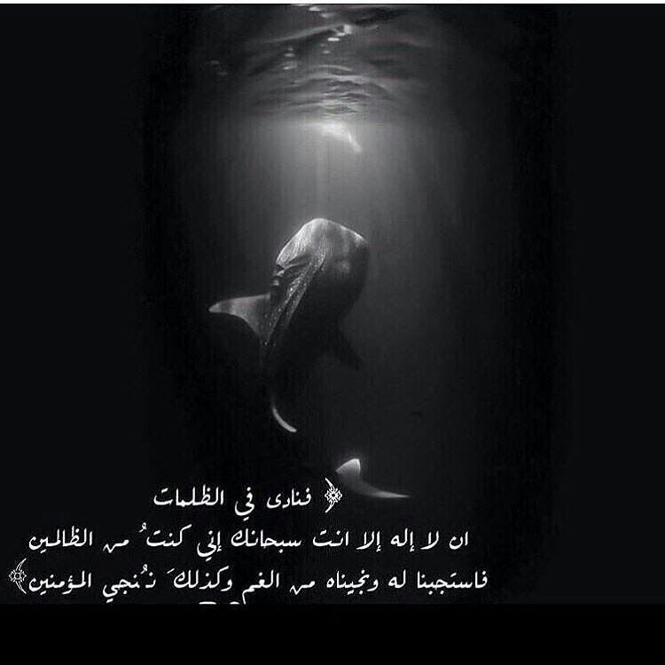 ayed__120's tweet photo. https://t.co/V2zqL2C6d3
