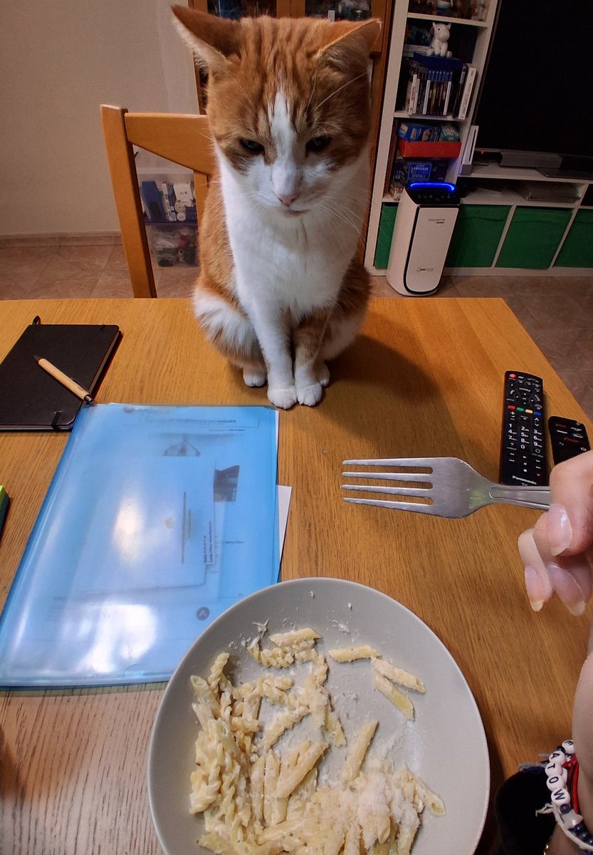 Ça va Sushi je te dérange pas ?