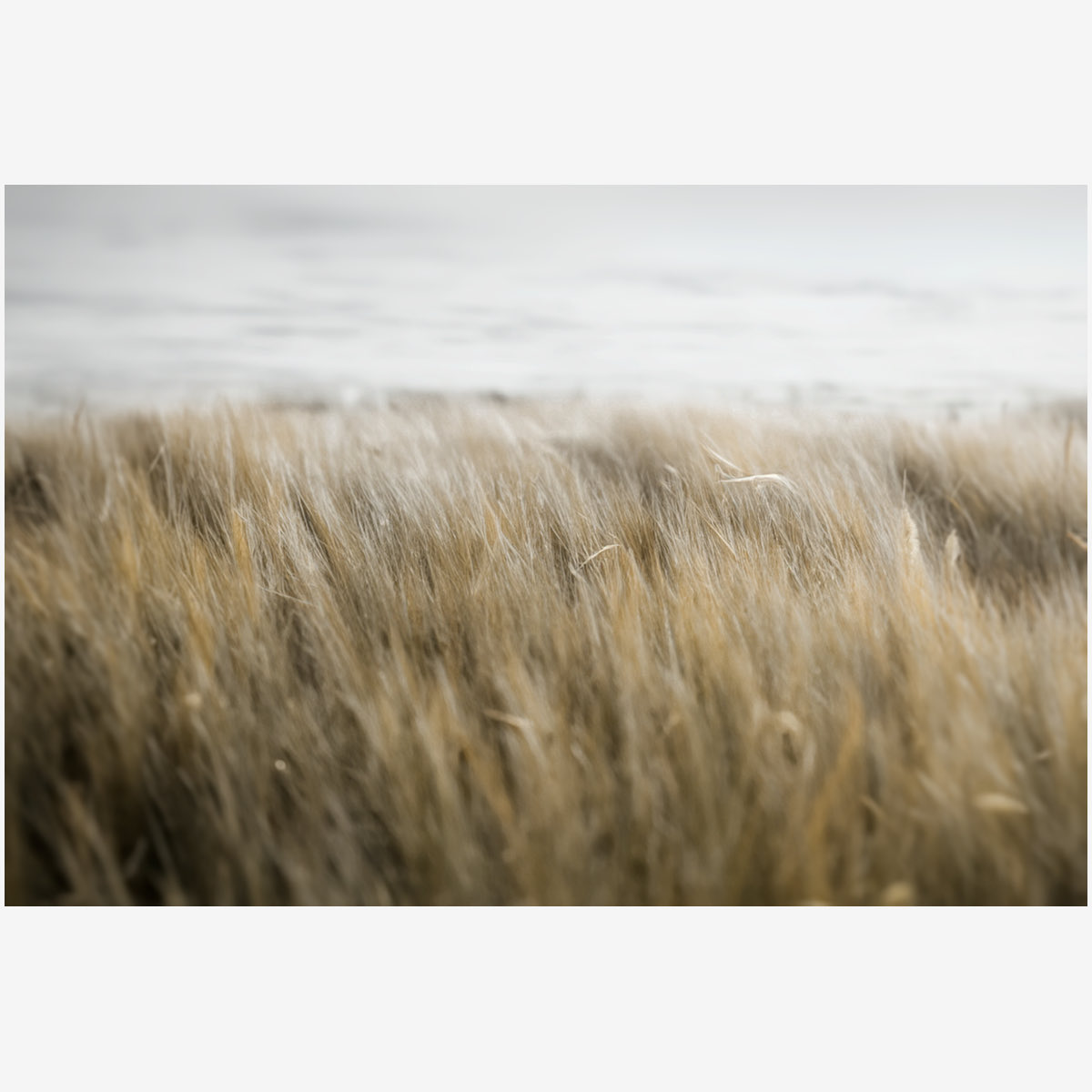 kenkenkazkaz222's tweet image. 