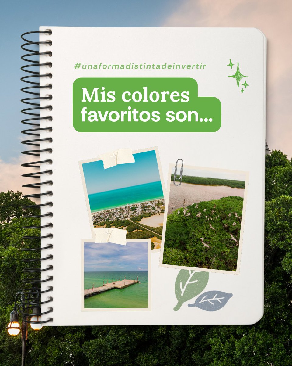 grupoliberamx's tweet image. Nuestros colores favoritos no vienen en catálogo.
Están en las playas, el cielo y los caminos de Yucatán.🌊🌿🌅

¿Cuál pinta tu forma de ver la vida?

#UnaFormaDistintaDeInvertir #ColoresDeYucatán #Libera