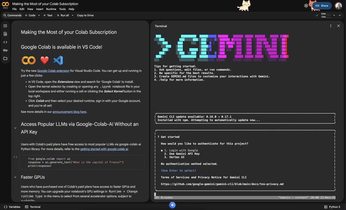 Gemini CLI terminal
