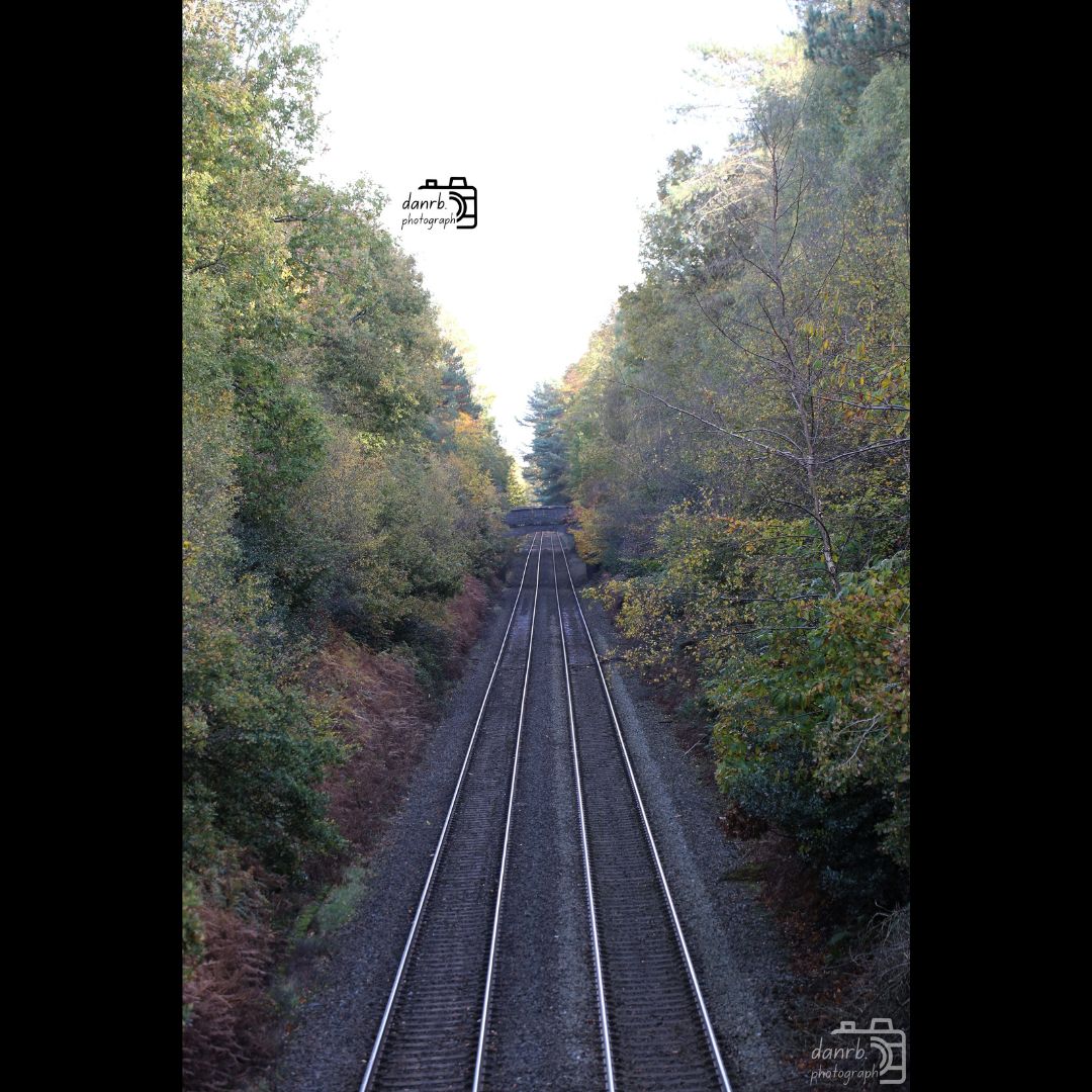 danrbphot0graph's tweet photo. Autumn Trees and Rail Tracks!
#photo #photography #outdoors #autumn #autumn2025 #fall #fall2025 #leaves #autumnleaves #orangeleaves #tree #trees #autumntree #autumntrees #colour #colourfulleaves #fallenleaves #woodland #woodlandphotography #rail #railtracks #railway https://t.co/gECJW7Xtzy