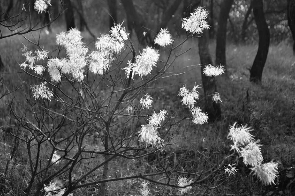 IrinaMasnichuck's tweet image. 