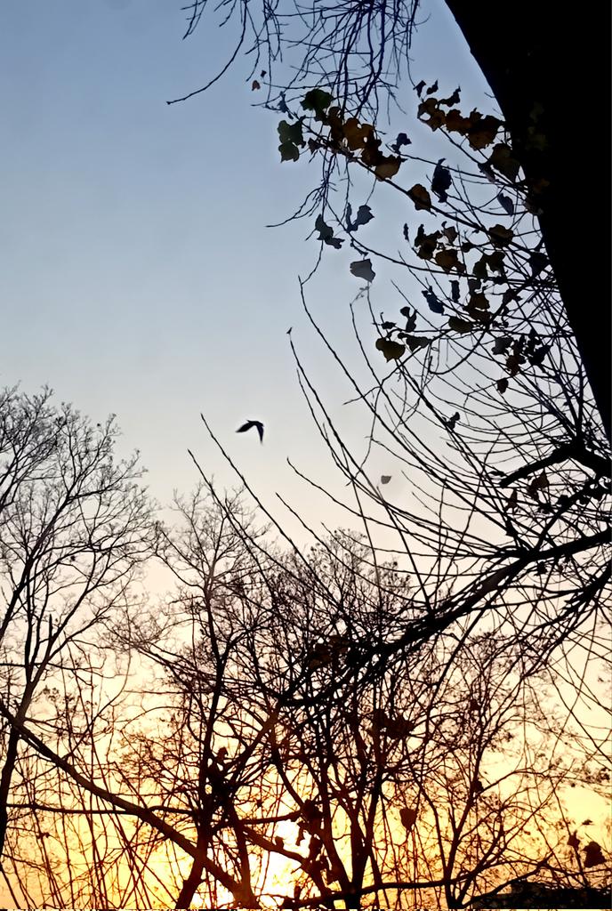 Катерина Галич tweet media