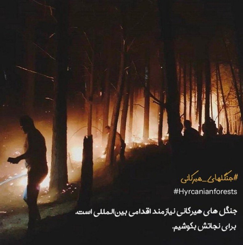 Pantea_t1's tweet image. هیرکانی دارد می‌سوزد و رسانه‌های حکومتی سرگرم سانسور و انکارند. مردم دوباره خود باید برای نجات کشورشان فریاد بزنند.
هموطن فردا که جز نامی از ایران باقی نماند حسرت خوردن چه فایده دارد؟
امروز باید کاری کنیم!
#جنگلهای_هیرکانی #Hyrcanianforest