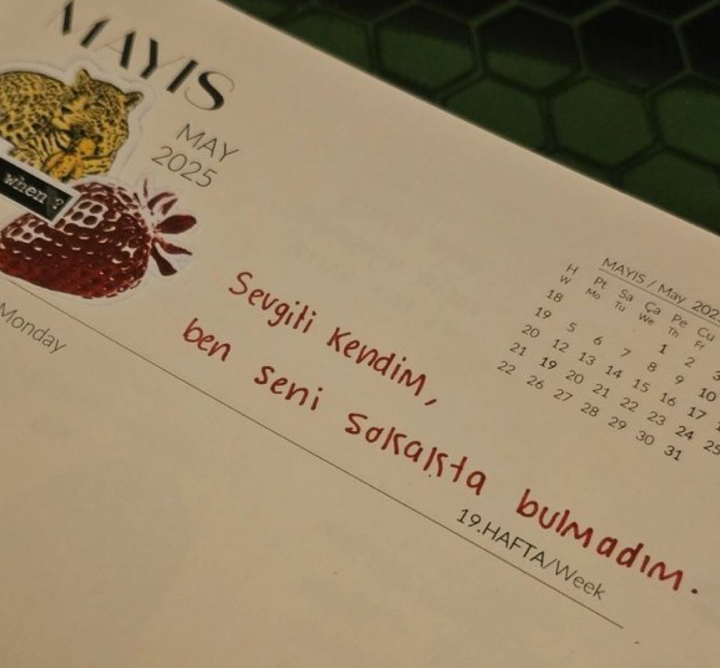 Bir gün var asra (@birgunvarasra) on Twitter photo 