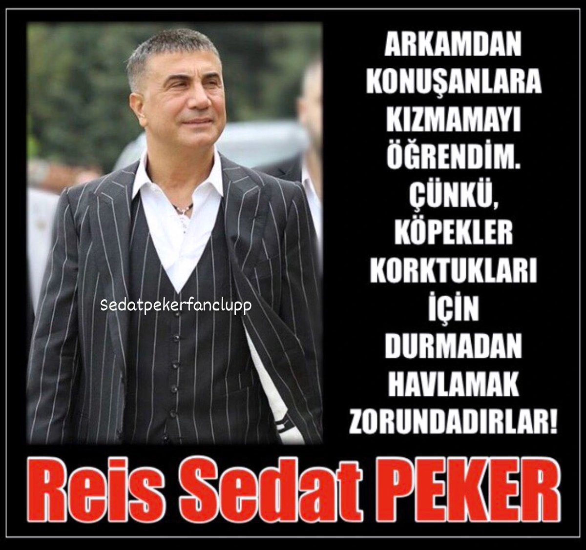 ARKAMDAN KONUŞANLARA
KIZMAMAYI ÖĞRENDİM.
ÇÜNKÜ, KÖPEKLER KORKTUKLARI
İÇİN DURMADAN HAVLAMAK
ZORUNDADIRLAR!
REİS SEDAT PEKER
 #Reis <a href="/sedat_peker/">Sedat Peker</a> #SedatPeker