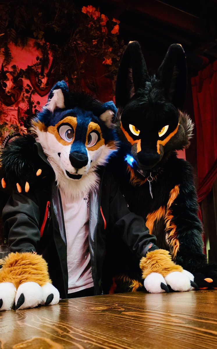 You wanna be our Third then? 👀

📸 <a href="/ChanceTheFox/">Chance</a>
